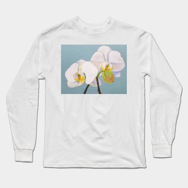 Phaelenopsis - moth orchid painting on pale green Long Sleeve T-Shirt by EmilyBickell